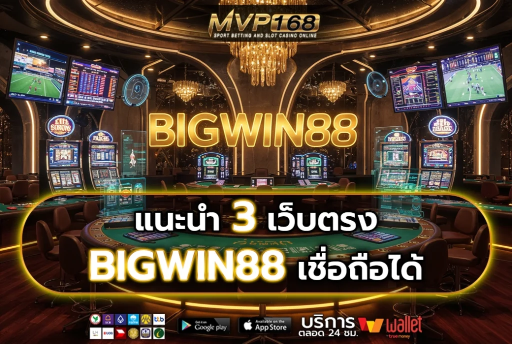 BIGWIN88 3